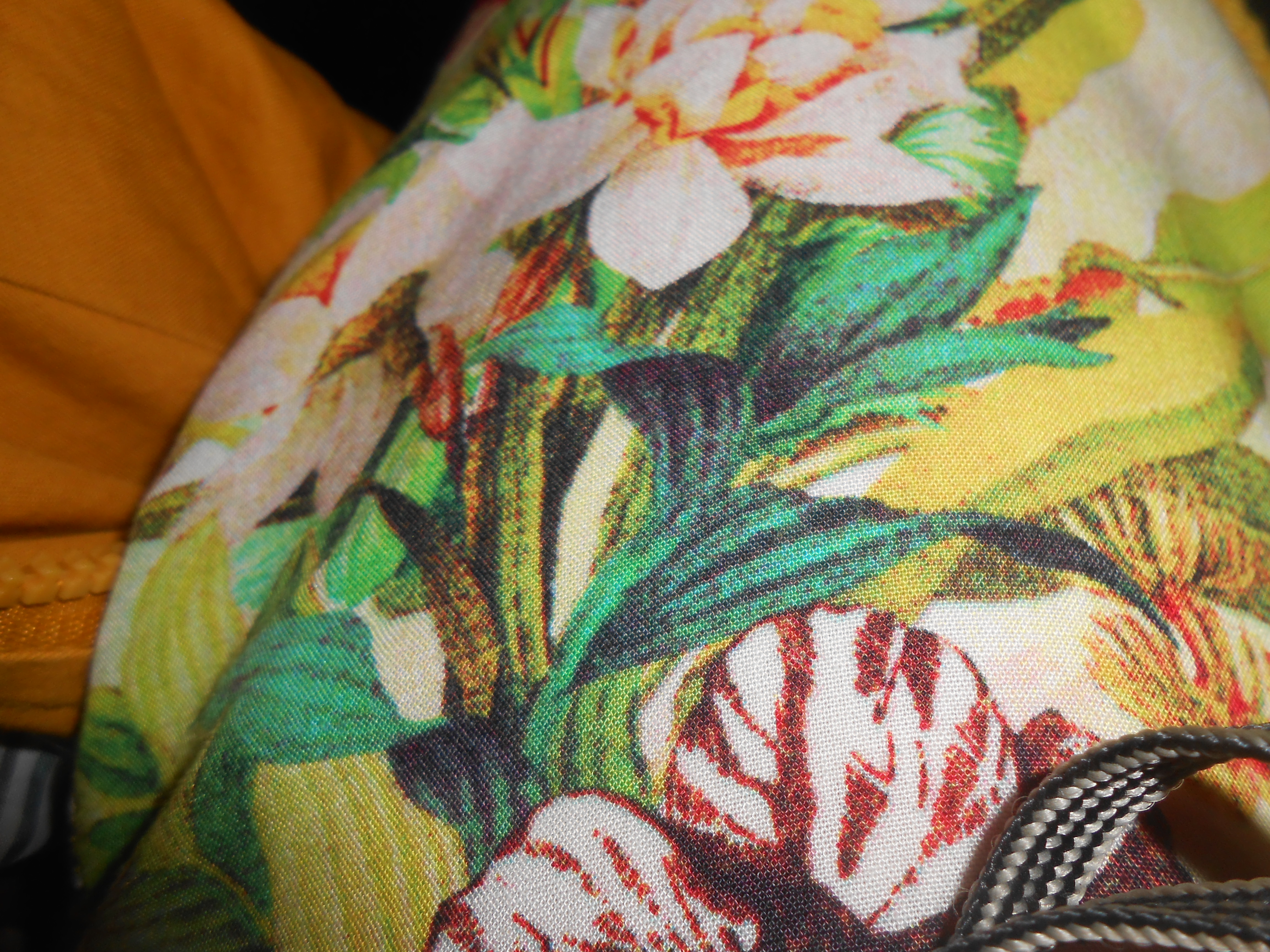 Анна Черноштан